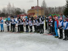 Лыжные гонки Лыжные гонки