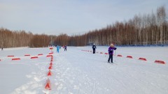 Лыжные гонки Лыжные гонки