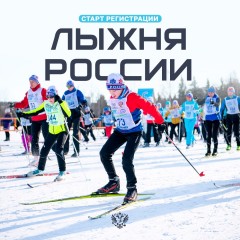 Лыжные гонки Лыжные гонки