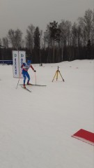 Лыжные гонки Лыжные гонки