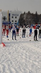 Лыжные гонки Лыжные гонки