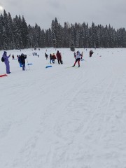 Лыжные гонки