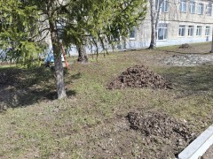 Информация!!! Информация!!!