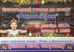 Соревнования по боксу для детей групп начальной подготовки Соревнования по боксу для детей групп начальной подготовки
