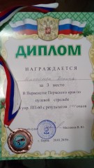Пулевая стрельба Пулевая стрельба