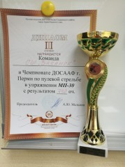 Пулевая стрельба Пулевая стрельба