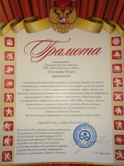 Пулевая стрельба Пулевая стрельба